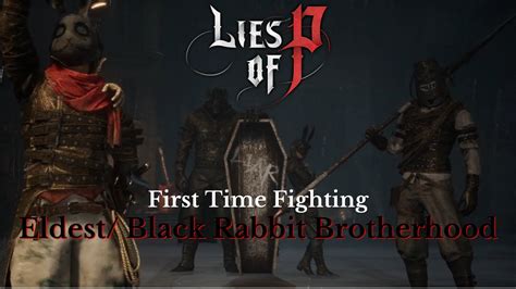 Eldest Of The Black Rabbit Brotherhood First Time Fighting Lies Of