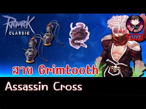 Live Ragnarok Ggt Classic Ep Assassin Cross Grimtooth