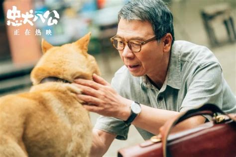 《忠犬八公》：全世界的眼泪为它而流荔枝网新闻