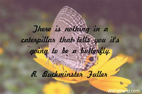 Butterfly Quotes