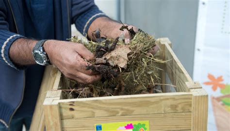 En 2023 Plaine Commune expérimente le tri à la source des biodéchets