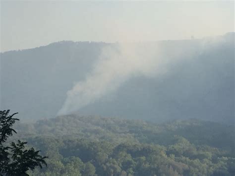 Riapre L Oasi Degli Astroni Gli Incendi Hanno Distrutto Il Della Flora