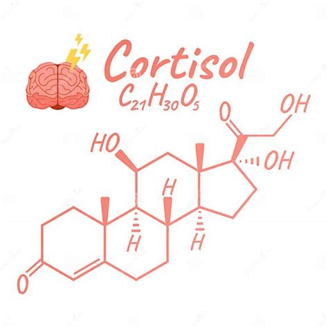 Hormona Humana Cortisol Conceito Químico Fórmula Esquelética ícone