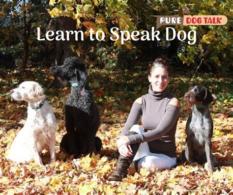 363 — Reactive Dogs: Learn their Language | Pure Dog Talk - Pure Dog Talk