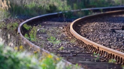 Bahn Pro Bahn Fordert Mehr Bahnstrecken Reaktivieren Zeit Online