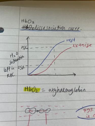 oxyhaemoglobin disassociation curve & bohr shift Flashcards | Quizlet