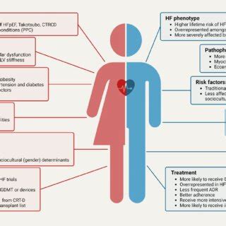 Sex And Gender Differences In Heart Failure Adr Adverse Drug