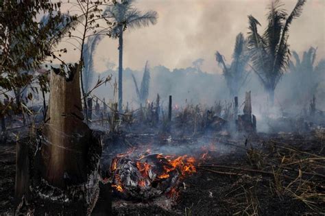 Brésil La déforestation de lAmazonie a battu un record en octobre