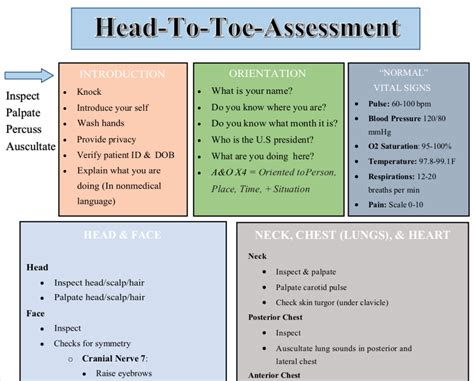 Head To Toe Assessment Guide Nursing Students Health Etsy Nursing