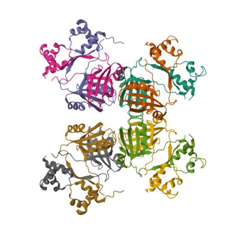 Rcsb Pdb Gqq Crystal Structure Of E Coli Leucine Responsive