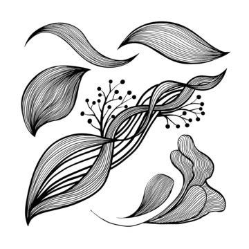 Abstract Line Art Wallpaper PNG Transparent Images Free Download