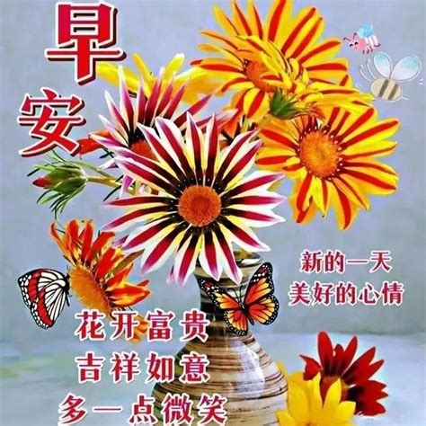 早安吉祥：快乐让人追求，幸福让人享受，友情令人回味，早安 祝福 阳光 身体