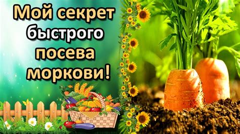 УДОБНЫЙ СПОСОБ ПОСЕВА МОРКОВИ, КОТОРЫЙ ВЫ НЕ ЗНАЛИ! - YouTube