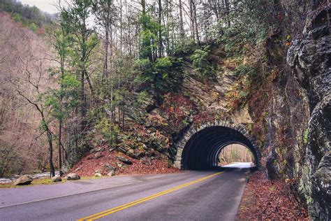 2025 Guide To A Pet-Friendly Smoky Mountains Getaway