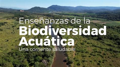 Enseñanzas De La Biodiversidad Acuática Youtube