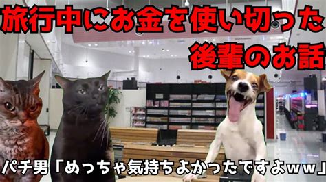 【実話猫ミーム】後輩の傷心旅行に行ったときの話【猫ミーム】【猫マニ】 猫ミーム 猫マニ パチンコ スロット 次回予告 負け 借金 傷心旅行 第四十八話 Youtube