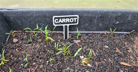 Plant/Seed Markers by Morr | Download free STL model | Printables.com