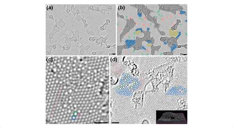 Atomic Resolution Aberration Corrected TEM Image Of A Single Layer