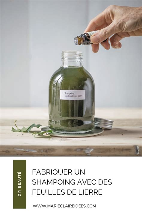 Fabriquer Un Shampoing Naturel Aux Feuilles De Lierre