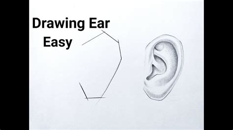 How To Draw Ear Easy Step By Step Ear Drawing For Beginners Tutorial Basic Drawing For Beginners