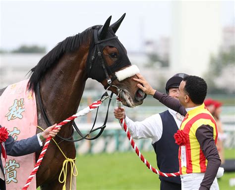 【桜花賞】ステレンボッシュが桜の女王に輝く モレイラ騎手歓喜「距離延びても問題ない」 3歳馬特集 競馬写真ニュース 日刊スポーツ