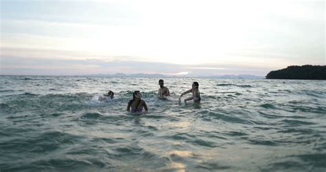 Gruppo Di Amici Che Nuotano Nel Mare Ai Giovani Di Tramonto Che