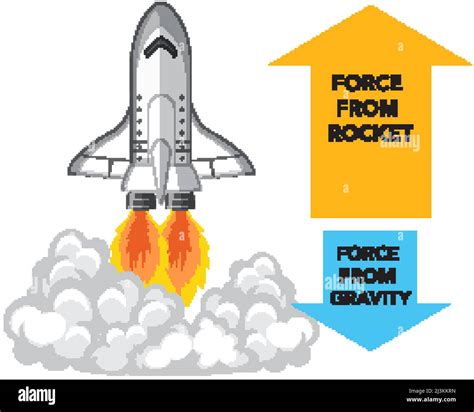 Liquid And Solid Rocket Anatomy Illustration Stock Vector Image Art