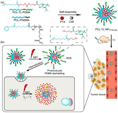 IJMS Free Full Text Stimulus Responsive Nanomedicines For Disease