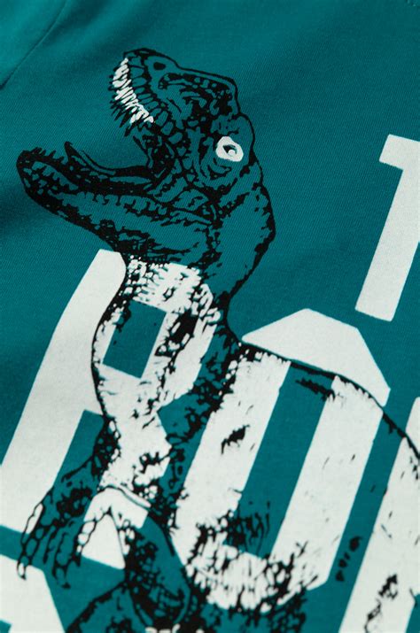 Футболки для мальчиков TREX roar (SM814) купить оптом в интернет ...