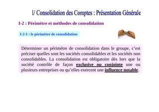 Consolidation Des Comptes Pdf