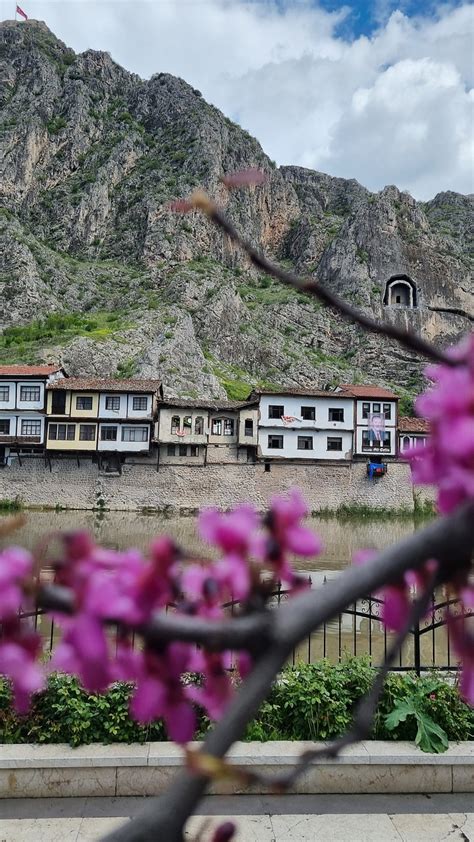 Amasya Waterfront Houses Green - Free photo on Pixabay - Pixabay