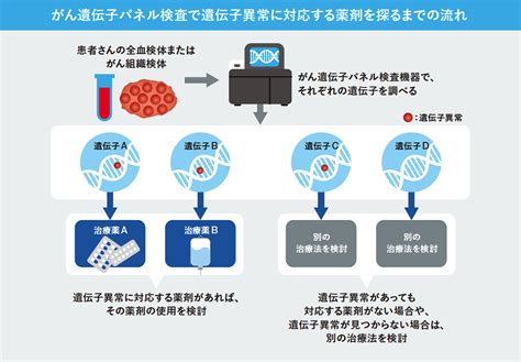 がん遺伝子パネル検査 ガーダントヘルスジャパン株式会社