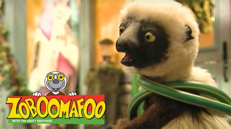 Zoboomafoo Now