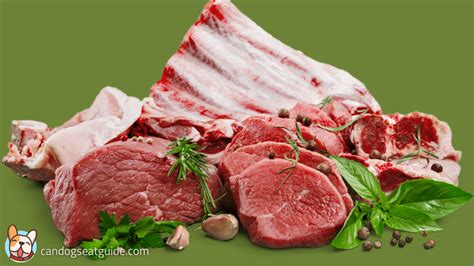 types  meat dogs  avoid eating immediately