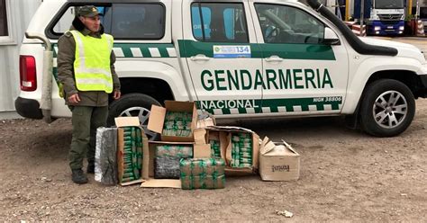 Decomisan 100 Kilos De Hojas De Coca Que Ingresaron A Mendoza