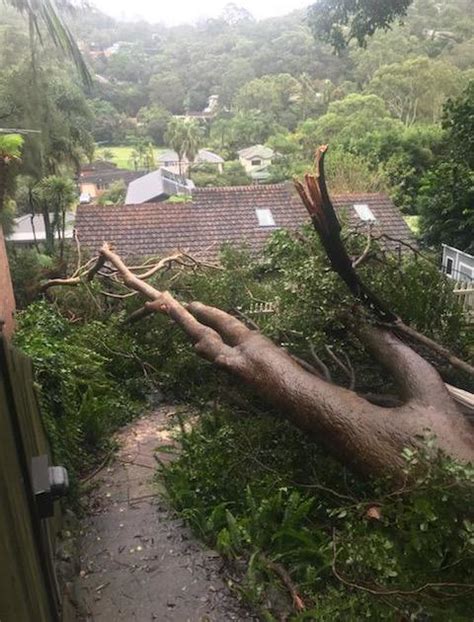 Storm Damage North Narrabeen Fire And Rescue Nsw