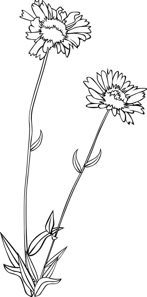 wildflower clipart black and white - Clipground