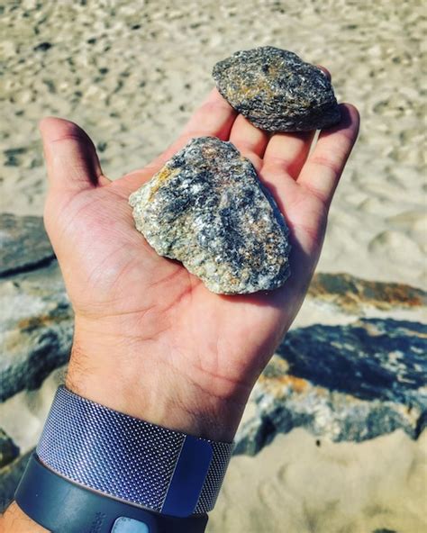 Premium Photo Cropped Hand Holding Stones At Beach