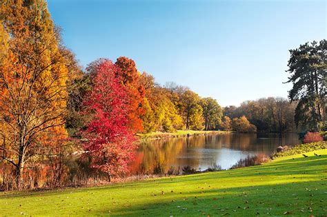 Fonds D Ecran Automne Saison Rivières Arbres Nature Télécharger Photo