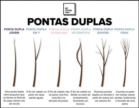O Que Causa Pontas Duplas
