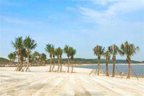 Dragon Hill Doi Rong One More Beach Attraction In Hai Phong