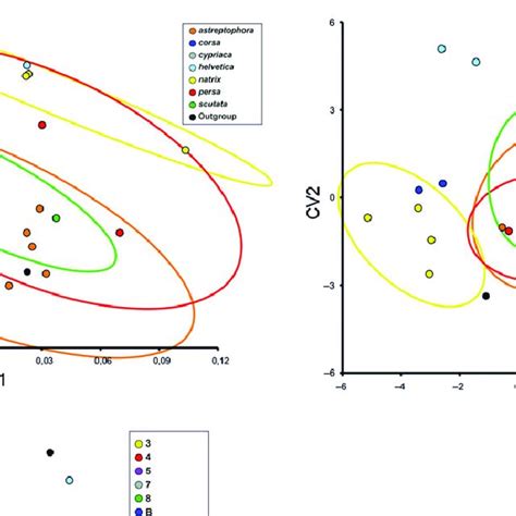 Position Of Landmarks Used For Geometric Morphometric Analysis Of