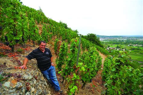 Yves Cuilleron Je Suis Convaincu Qu Il Y A Dans Le Vin Un Aspect