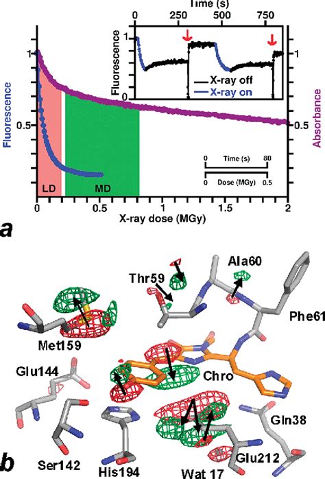 Figure 1 From Structural Basis Of X Ray Induced Transient