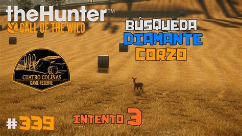 TheHunter Call Of The Wild 339 EN BUSCA DEL DIAMANTE DE CORZO