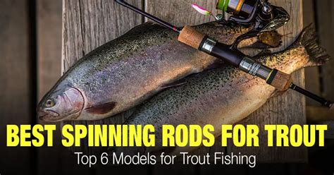 Top Best Spinning Rods For Trout Fishing