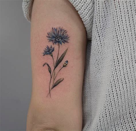 Centaurea Cyanus Tattoo