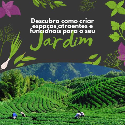 Guia Do Jardim Perfeito O Jardineiro Moderno Guia Para Cria O E