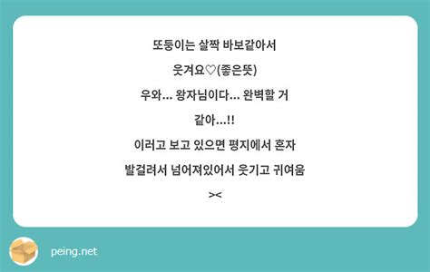 또둥이는 살짝 바보같아서 웃겨요♡좋은뜻 우와 왕자님이다 완벽할 거 같아 이러고 Peing 質問箱