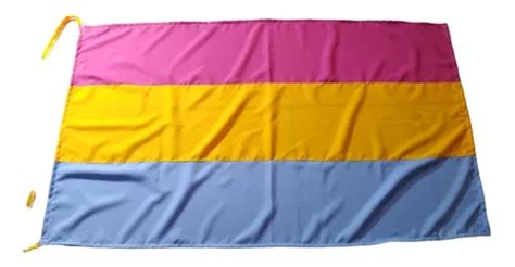 Bandera Pansexual Diversidad Lgbt 100x60 Cm Fabricamos Cuotas Sin